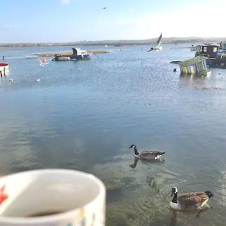 Holes Bay Nature Reserve, Poole, Right Next To The Water Εξωτερικό φωτογραφία